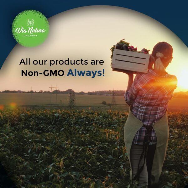 Vinagre de sidra de manzana orgánico en cápsulas con certificaciones