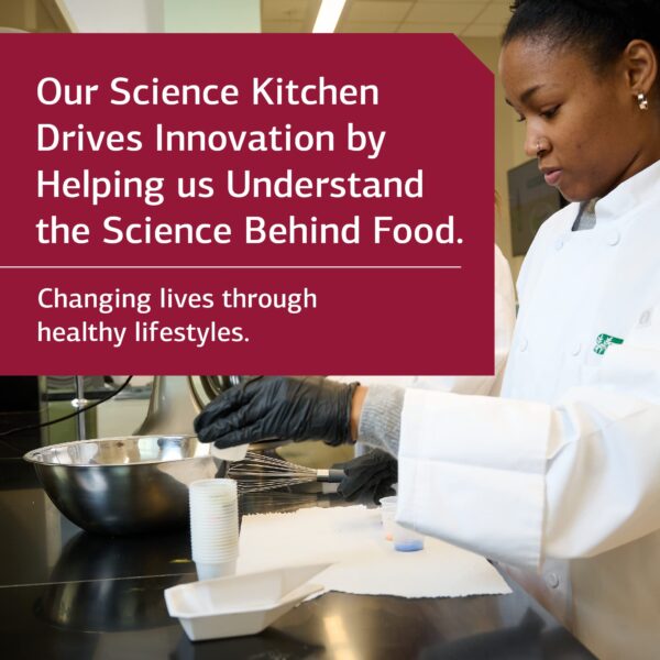 Standard Process Green Food caja 150 cápsulas