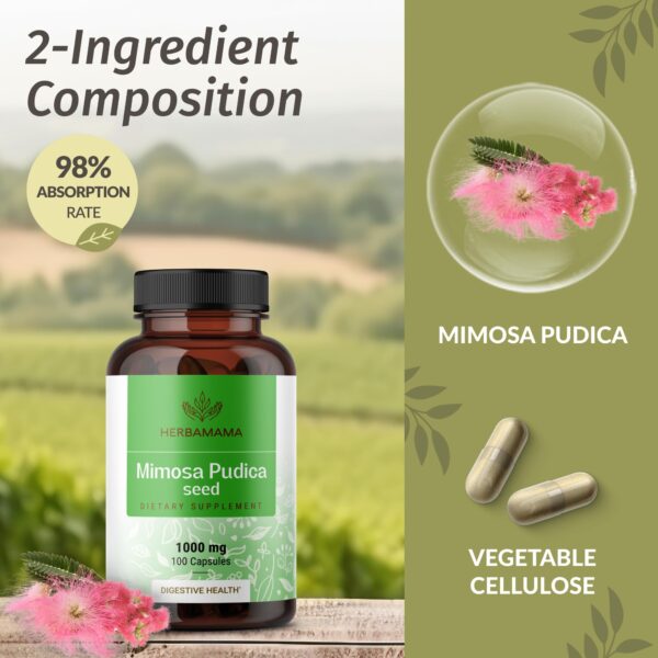 Mimosa Pudica polvo en cápsulas para limpieza y apoyo digestivo