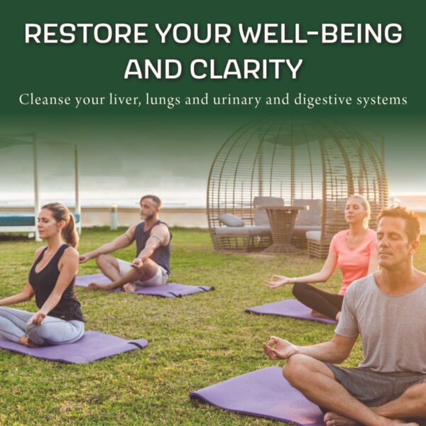 Detalle cápsulas del desintoxicante Simple THC Detox