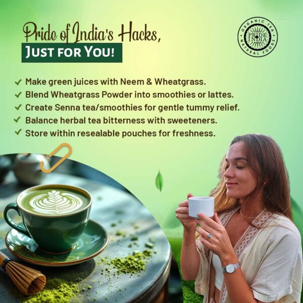 Ingredientes veganos no bioingenierizados sin gluten