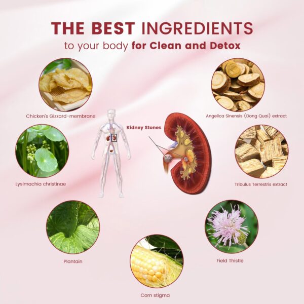 Detalle ingredientes naturales tabletas Wins Town soporte riñones