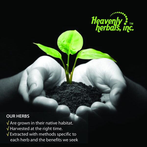 Envase y caja Heavenly Herbals Carduus Marianus