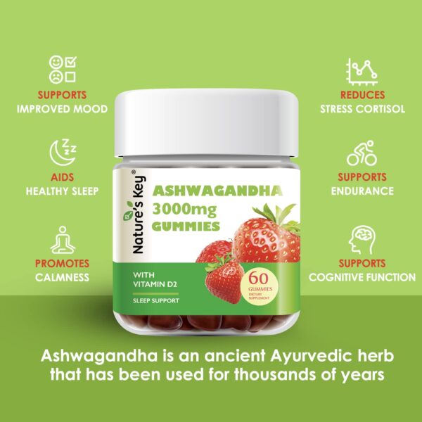 Gomitas saludables Nature's Key ACV y Ashwagandha