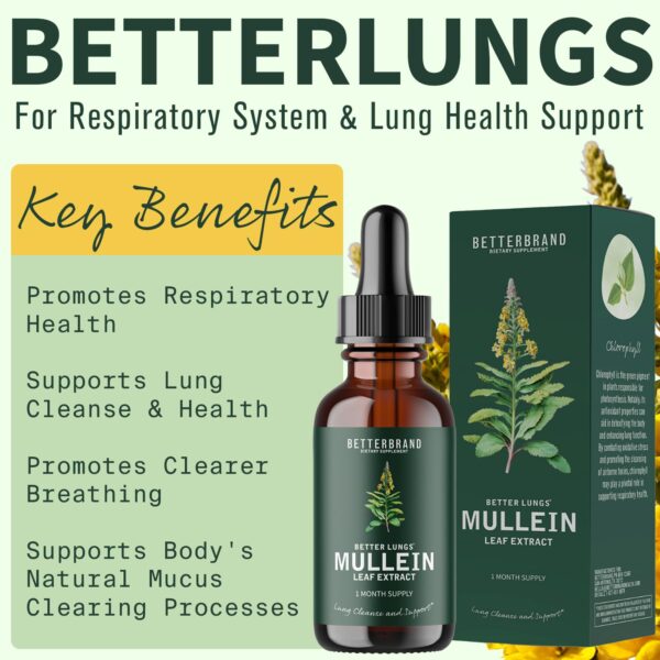 Té detox BetterLungs sin cafeína para limpieza pulmonar