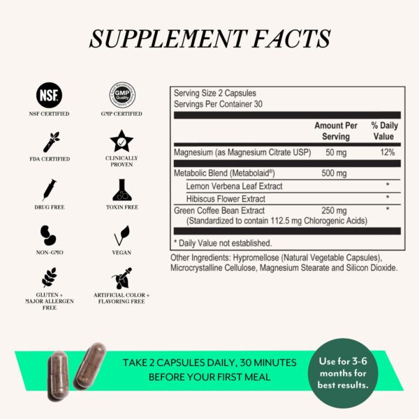 Ingredientes y composición de Metabolism Ignite