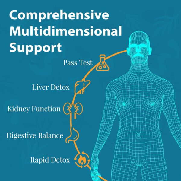 Tabletas masticables para detox hepático y renal 60 unidades