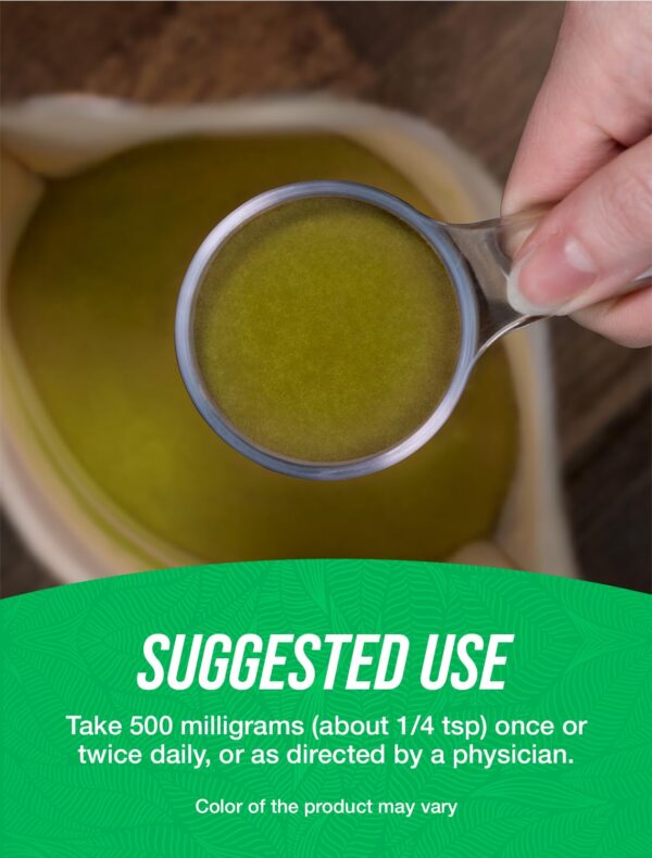 Polvo del suplemento extracto de Gymnema BulkSupplements