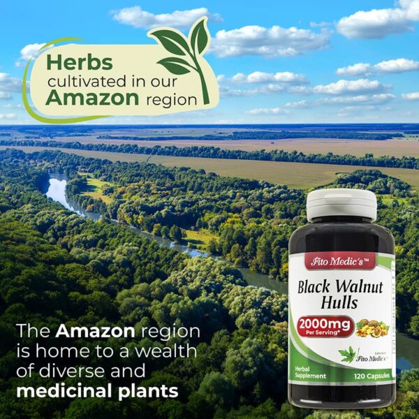 Suplemento FITO MEDIC'S nogal negro calidad Juglans nigra