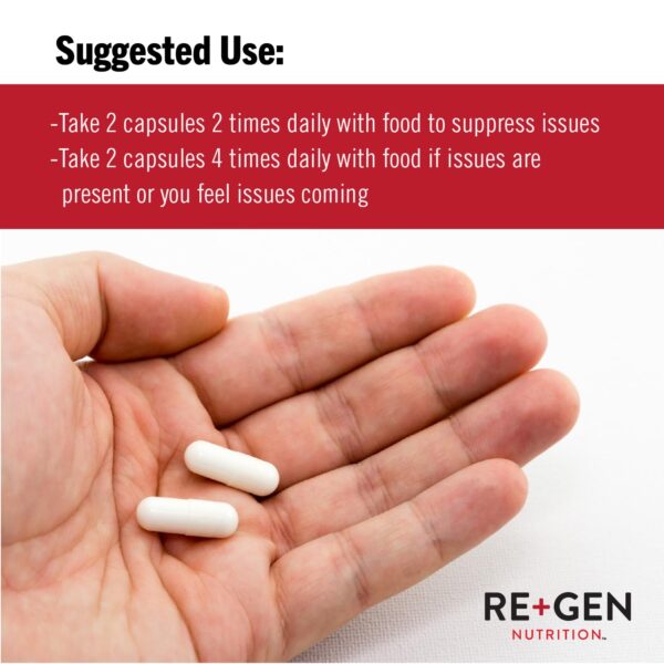 Suplemento natural vegano para salud masculina Re+Gen Nutrition