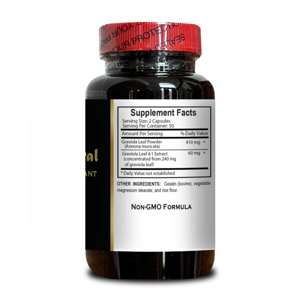 Suplemento detox graviola para fortalecer sistema inmunológico Suplemento detox graviola para fortalecer sistema inmunológico