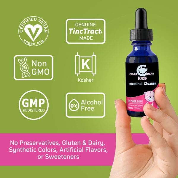 Gotas desintoxicantes para digestión infantil Cedar Bear