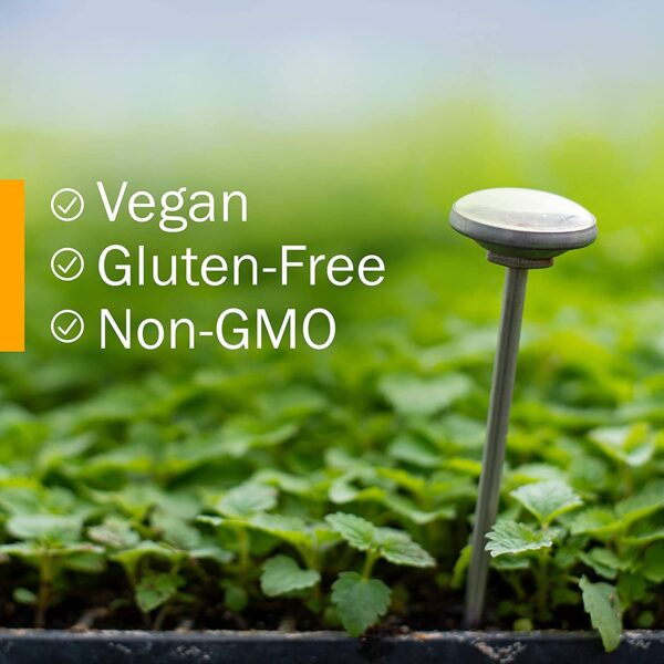 Culver's Root extracto certificado orgánico para bienestar general