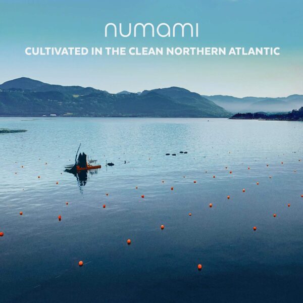 Producto Numami con concentración alta de nutrientes Producto Numami con concentración alta de nutrientes