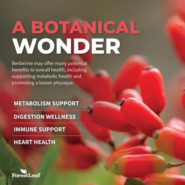 Cápsulas vegetales suplemento berberina ultra potente