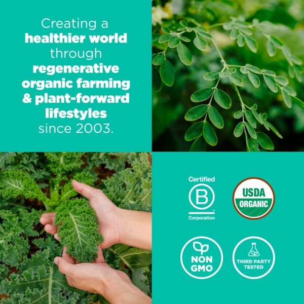 Superfood+ mezcla verde vegana para nutrición y detox