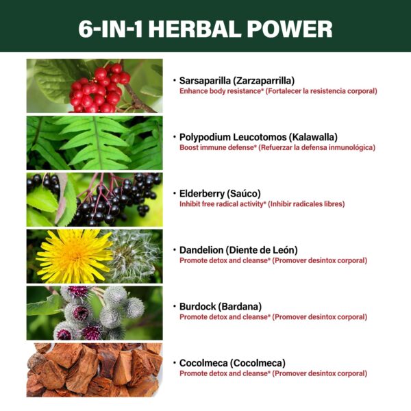 Extracto natural zarzaparrilla con diente de león y saúco para detox