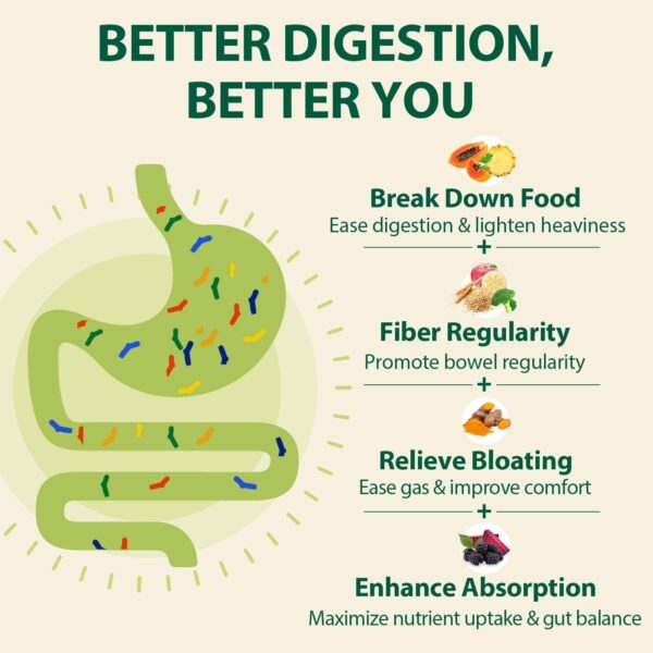 Interior de caja y frascos Interior de caja y frascos