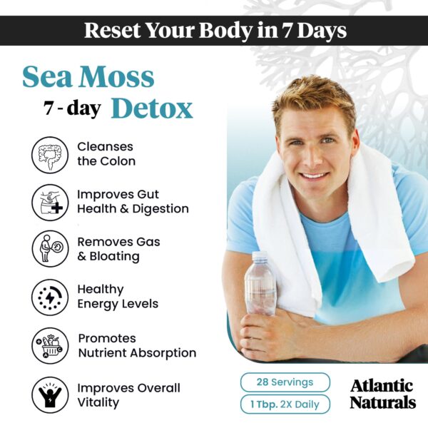 Bebida detox sabor piña con polvo musgo marino