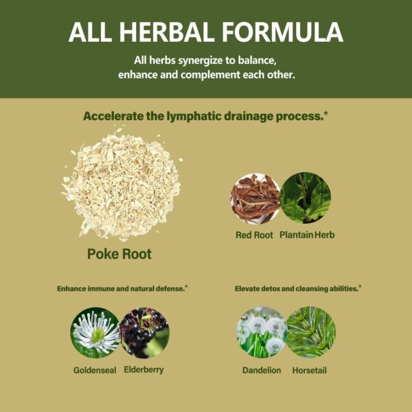 Eubrition suplemento vegano para linfedema y salud linfática