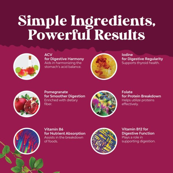 Suplemento natural de gomitas ACV para limpieza interna Suplemento natural de gomitas ACV para limpieza interna