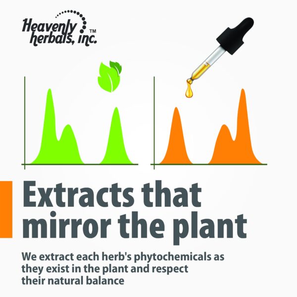 Tintura homeopática Ceanothus con receta y calidad FDA