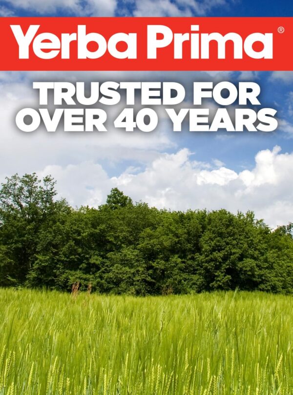 Yerba Prima Odor Cleanse cápsulas en mano para olor corporal