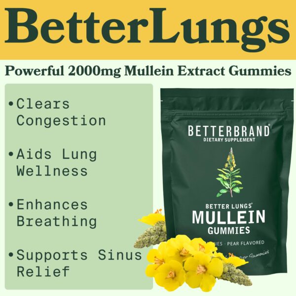 Detalle de Té Detox Better Lungs