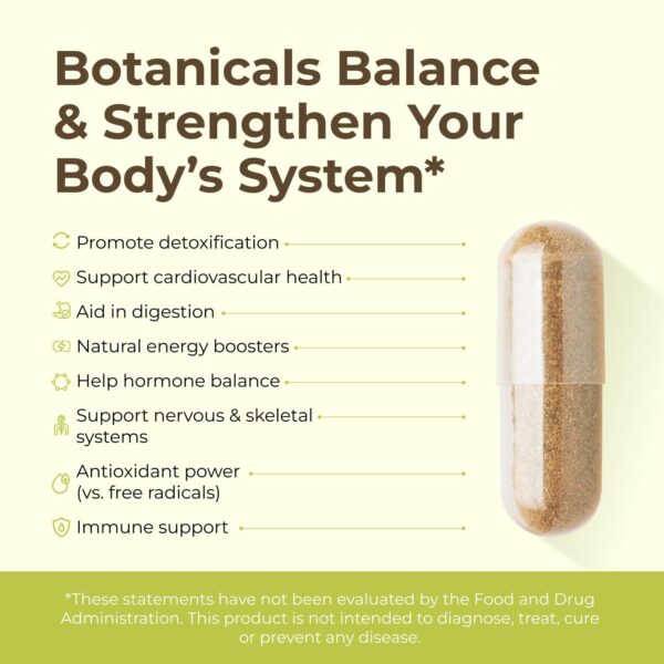 Suplemento herbal en cápsulas Intra para desintoxicación y energía Suplemento herbal en cápsulas Intra para desintoxicación y energía