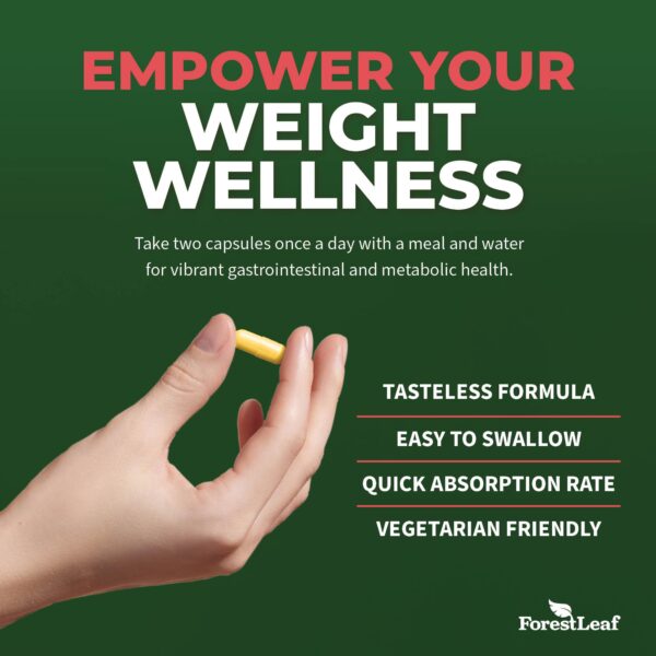 Berberina HCl extracto 10:1 ForestLeaf 90 cápsulas