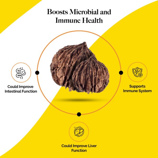 Tintura limpieza intestinal Juice Crafters fórmula natural 1 fl oz Tintura limpieza intestinal Juice Crafters fórmula natural 1 fl oz