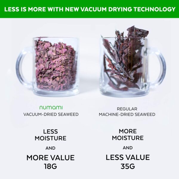 Polvo orgánico para batido detox de sabor delicioso Polvo orgánico para batido detox de sabor delicioso