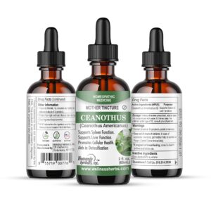 Tintura madre ceanothus americanus homeopática 2oz