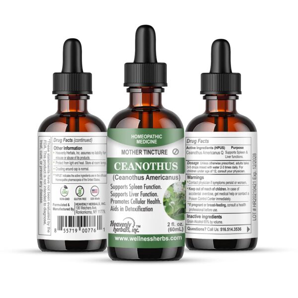 Tintura madre ceanothus americanus homeopática 2oz