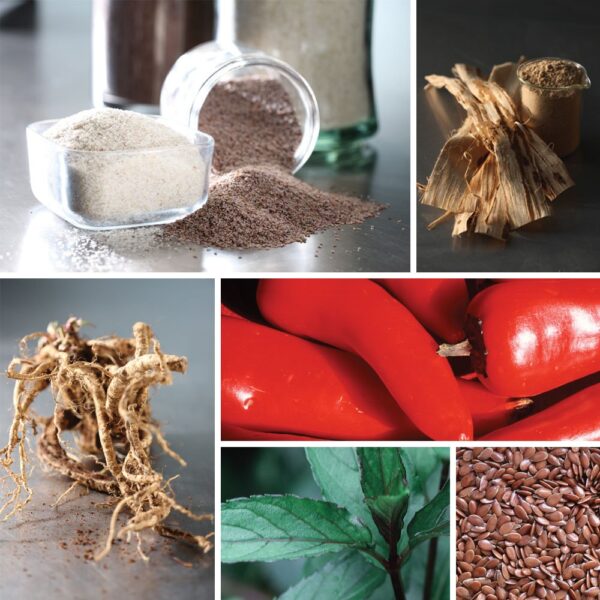 Paquete Dr. Schulze fórmula intestinal limpieza colon 2 tarros