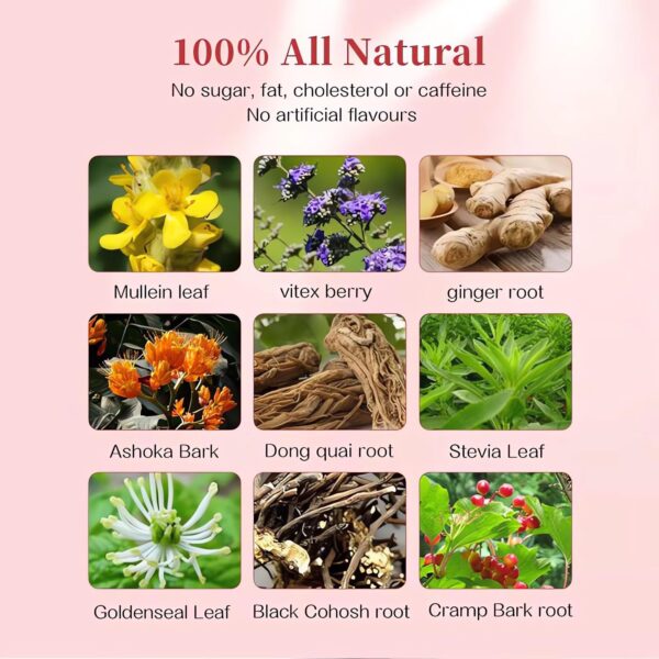 embalaje trasero té Wins Town para fibromas y bienestar femenino