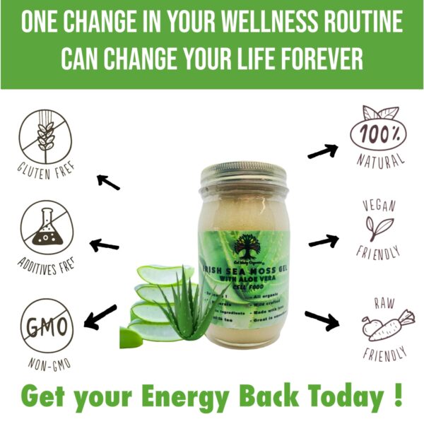 Superalimento vegano GET WAVY ORGANICS gel musgo irlandés