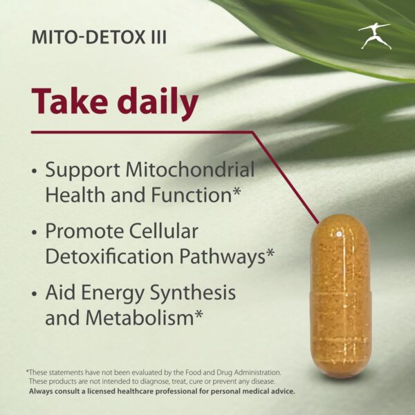 Suplemento Mito-Detox antioxidantes y energía celular