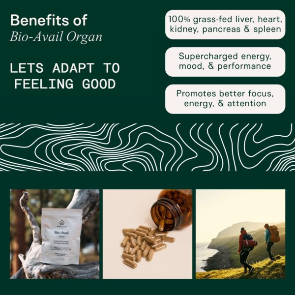 Cápsulas de órganos res alimentada con pasto Adapt Naturals