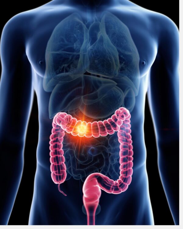 Producto Caribbean Bush Tea Body Cleanse detox natural