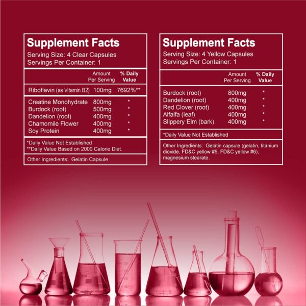Frasco y cápsulas bebida detox Wellgenix Puriclean