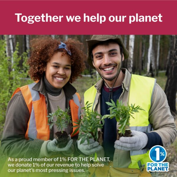 Preparación bebida detox matcha para salud articular y energía