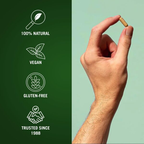 detox cápsulas vegetarianas The Cleaner