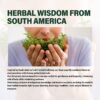 Suplemento linfático Verdeherb con extractos vegetales
