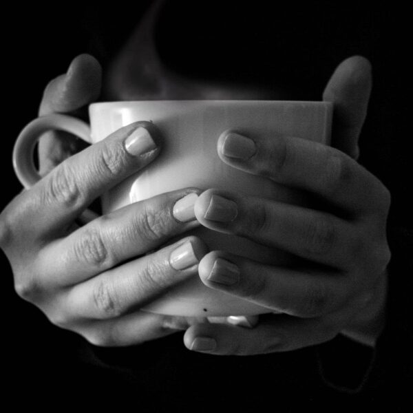 Ingredientes naturales té detox SpeedyVite para limpieza hepática