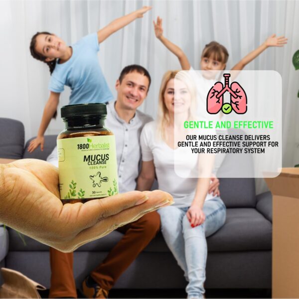 Etiqueta 26 Herb Maya cápsulas herbales naturales