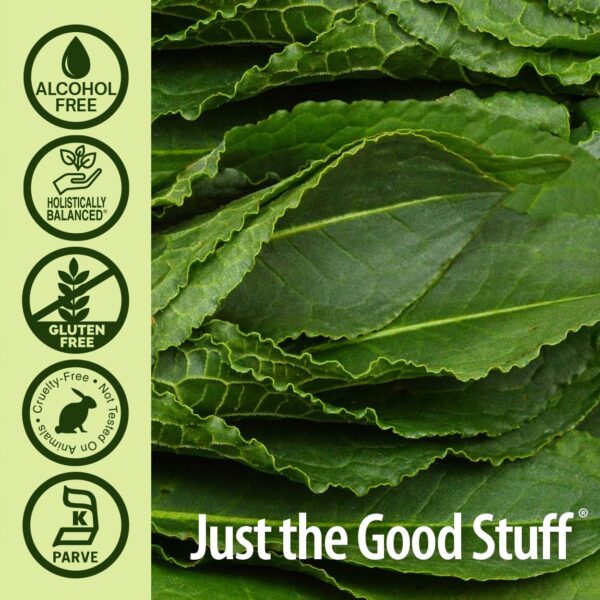 Botella y caja Nature's Answer extracto sin alcohol dock amarillo