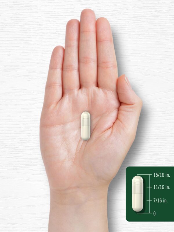 Vinagre de manzana Carlyle cápsulas 2400 mg calidad