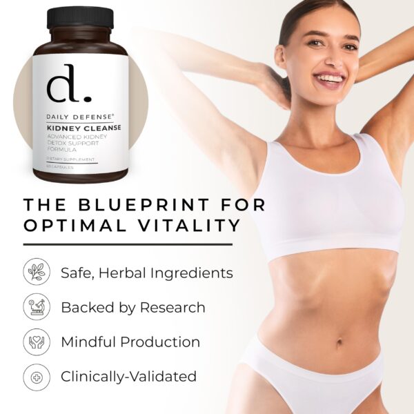 Daily Defense suplemento riñón ingredientes naturales