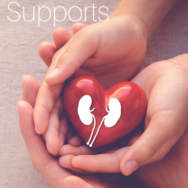 Detalle ingredientes té herbal SpeedyVite para salud urinaria